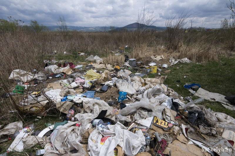 • Fotó: Kristó Róbert