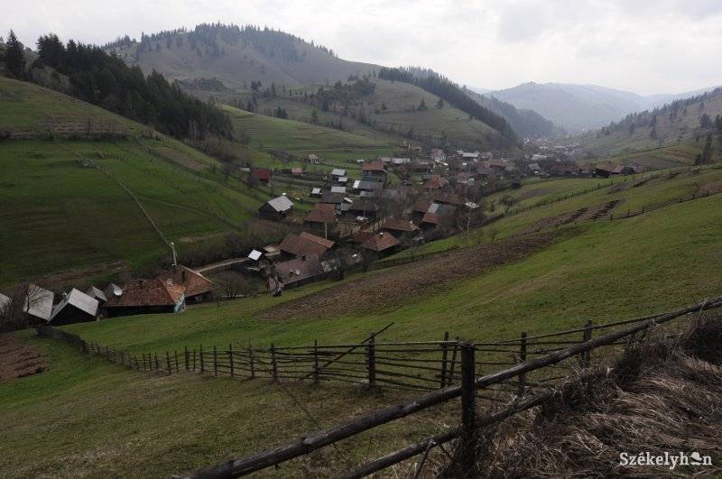 •  Fotó: Kristó Róbert