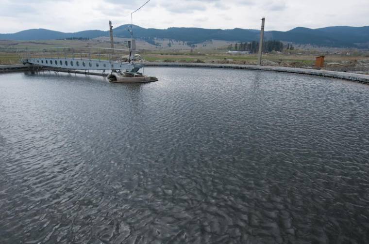 Átvett munkálat hibajegyzékkel