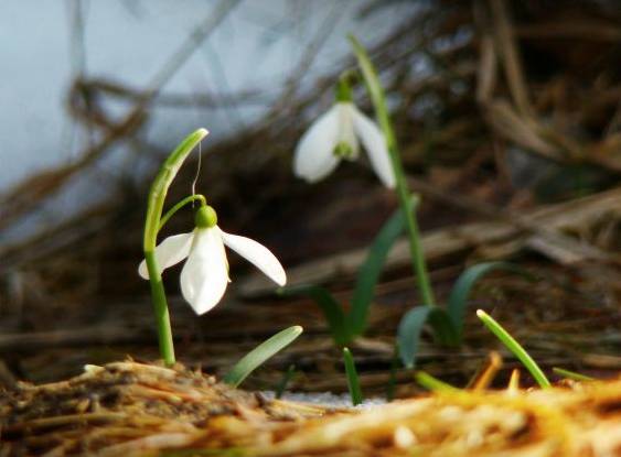 Nőnapi túrát szervez a CsEKE