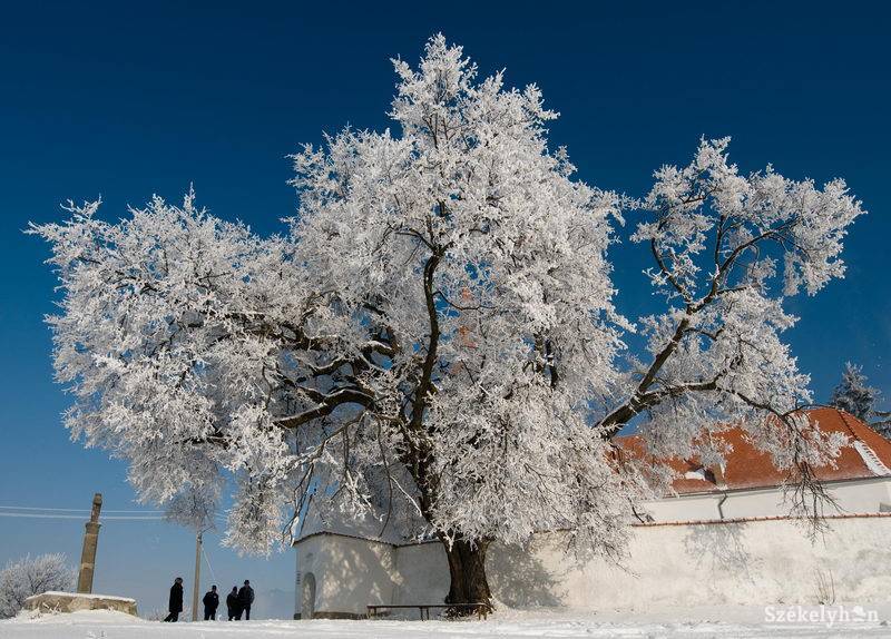 •  Fotó: Kristó Róbert