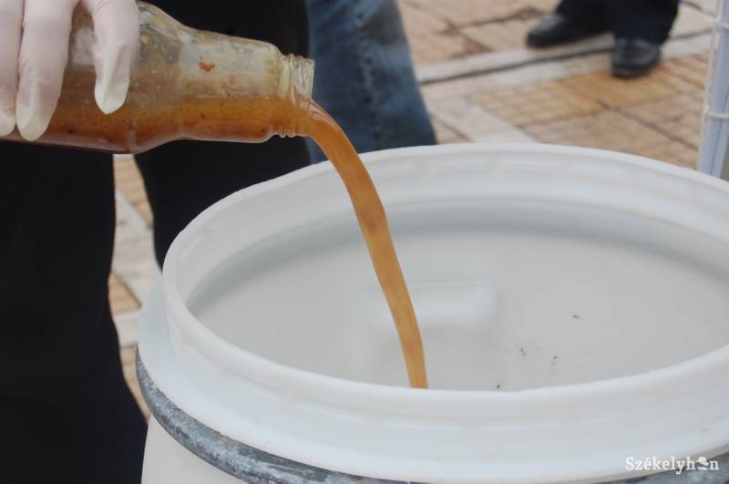 • Fotó: Iochom Zsolt