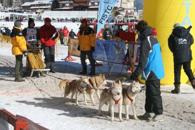 Tapasztalatszerzés a dóvali világbajnokságon