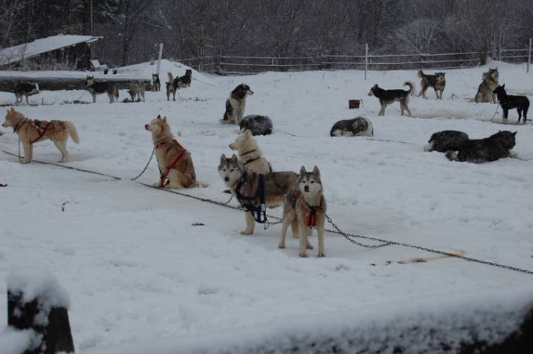 Kedvező hóviszonyok a Székelyföld Kupán