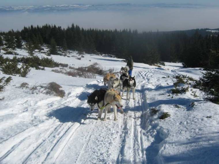 Kutyaszánon, több mint száz kilométeren keresztül