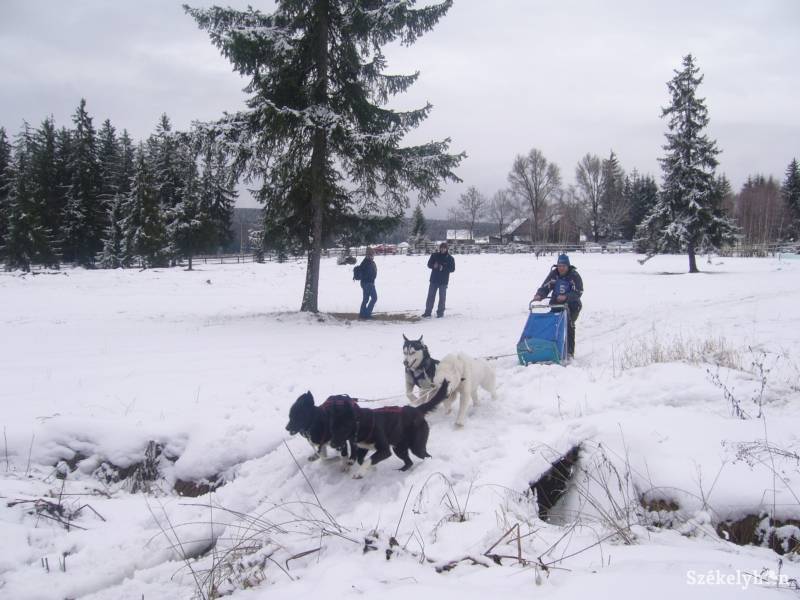 • Fotó: Iochom Zsolt