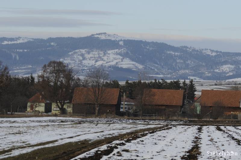 •  Fotó: Kristó Róbert