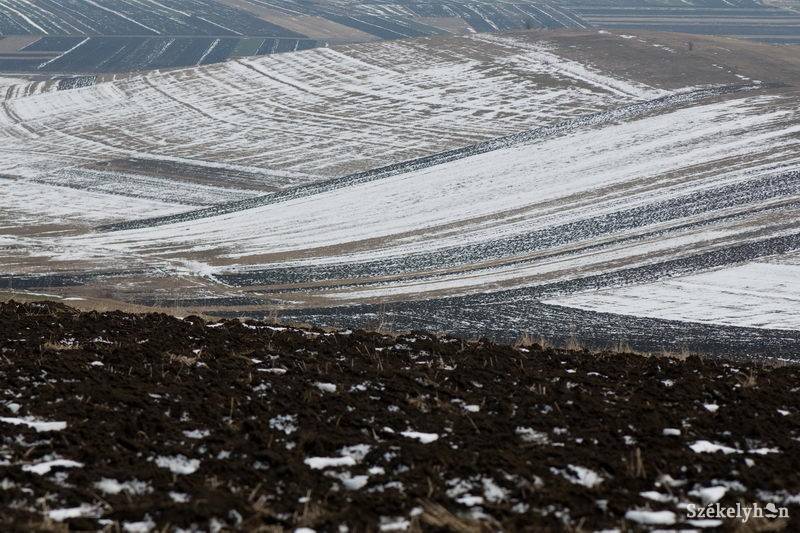 •  Fotó: Kristó Róbert