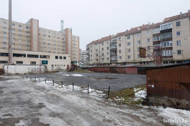 •  Fotó: Kristó Róbert