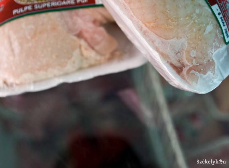 •  Fotó: Kristó Róbert