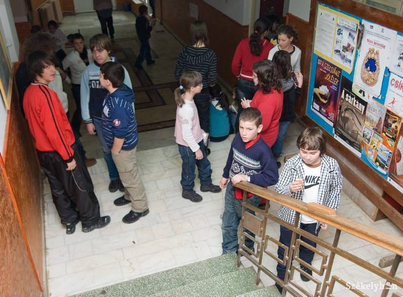 •  Fotó: Kristó Róbert