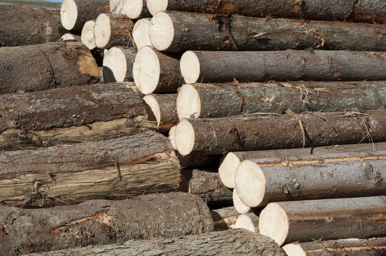 Gyergyóba is betörnének a nyugati fafeldolgozók