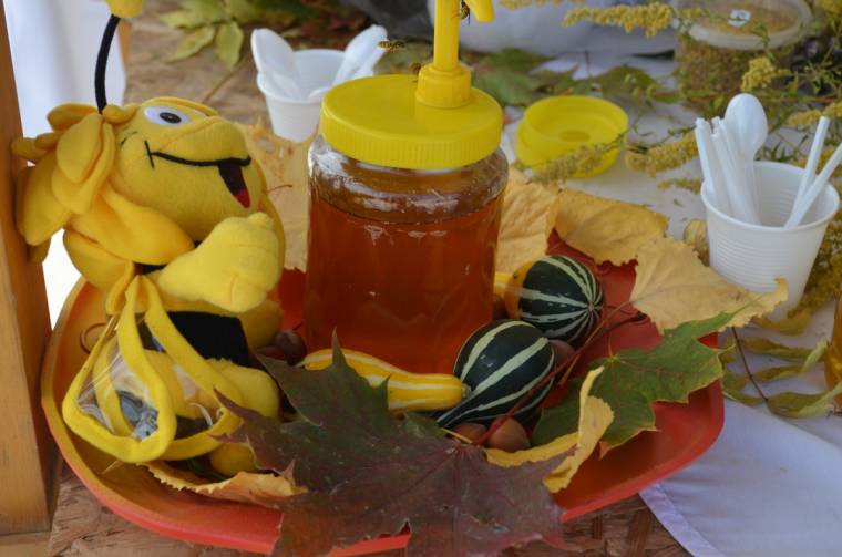 Fesztivál a méz és a méhek tiszteletére