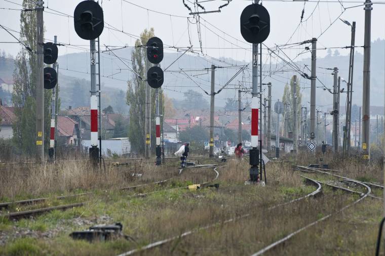 Fenyőfa dőlt a sínekre, több járat is vesztegelni kényszerült
