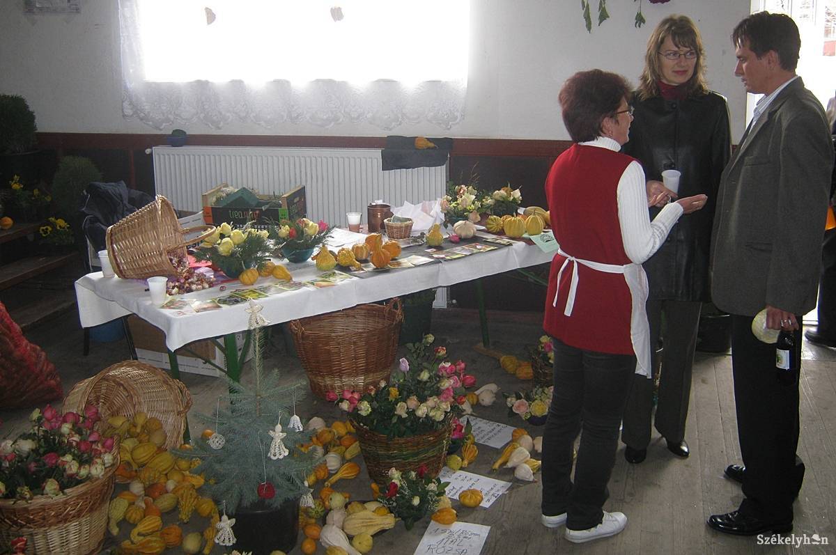 • Fotó: Pinti Attila