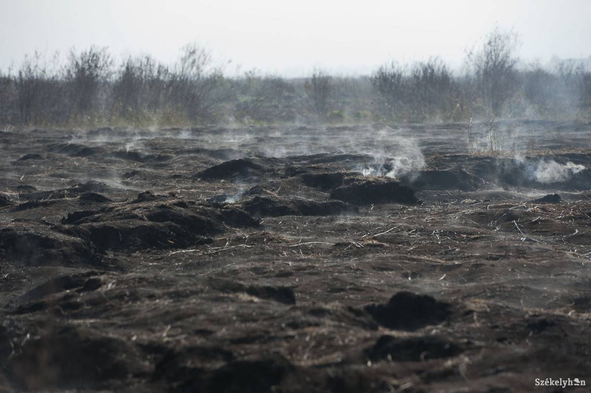 &bullet;  Fotó: Kristó Róbert