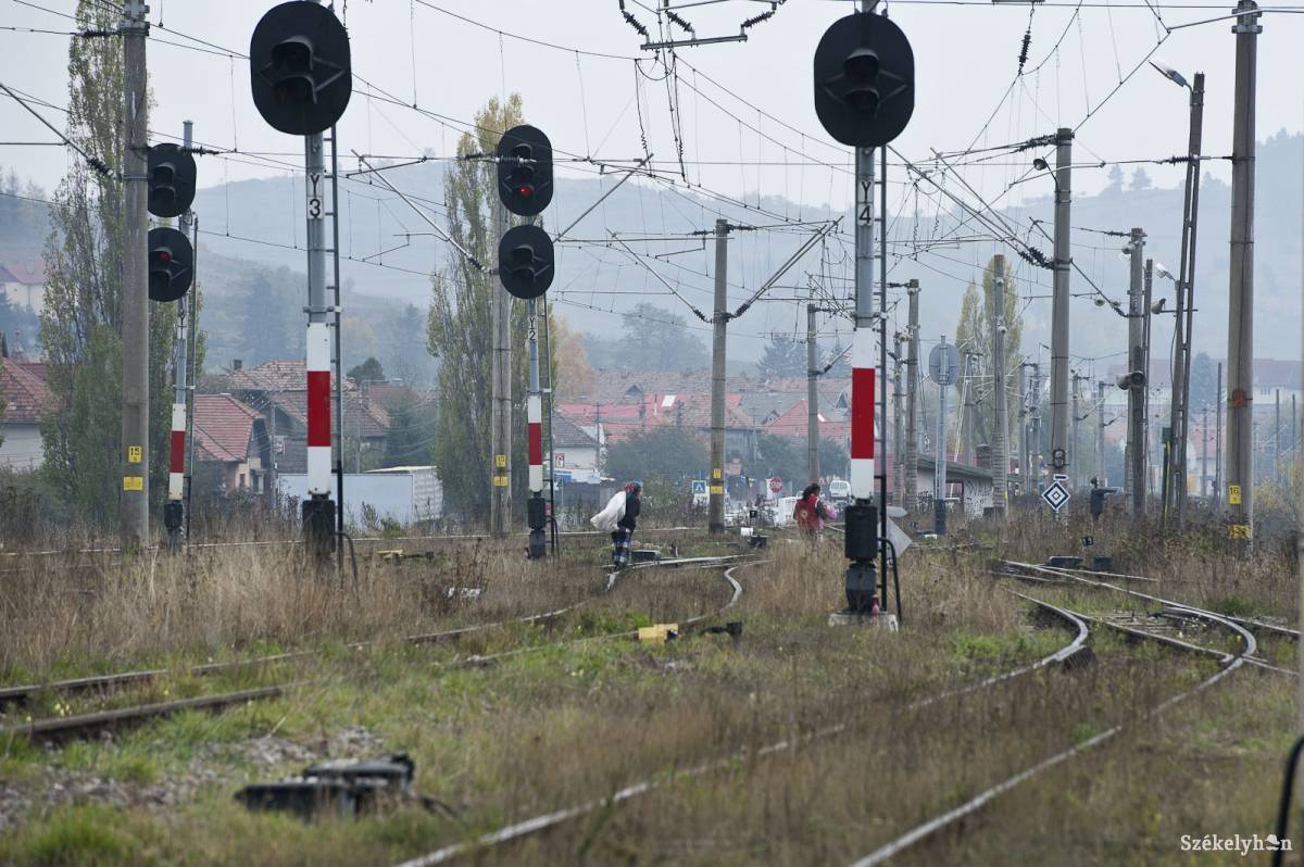 •  Fotó: Kristó Róbert