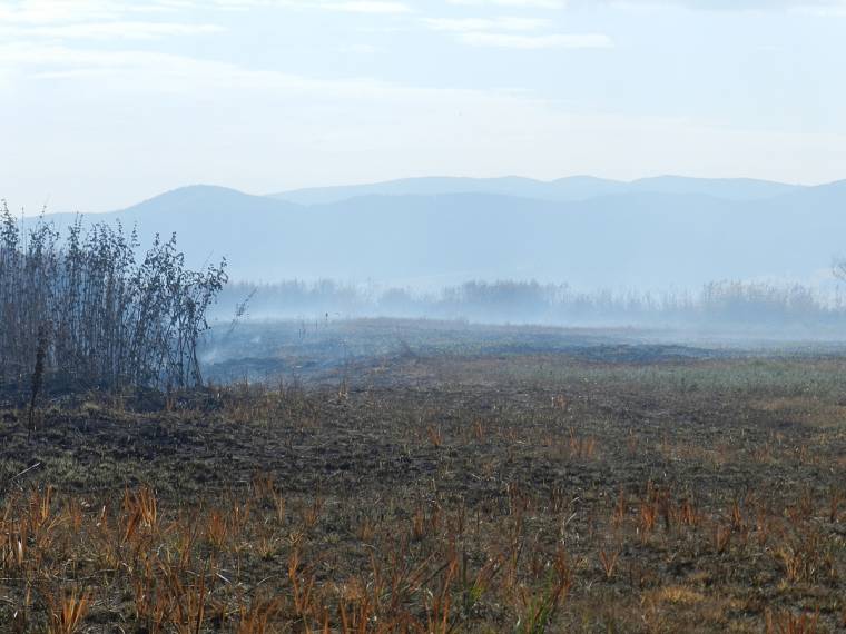 Határozott lépések a csicsói tőzegtűz megfékezéséért