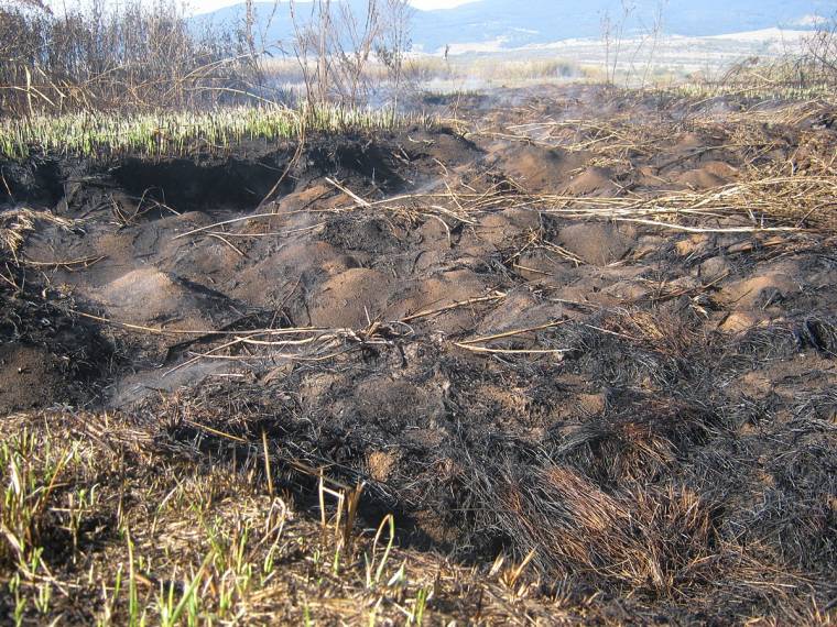 A munka hozhat megoldást, nem az eső