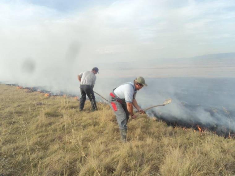 Kaszáló égett Csicsóban