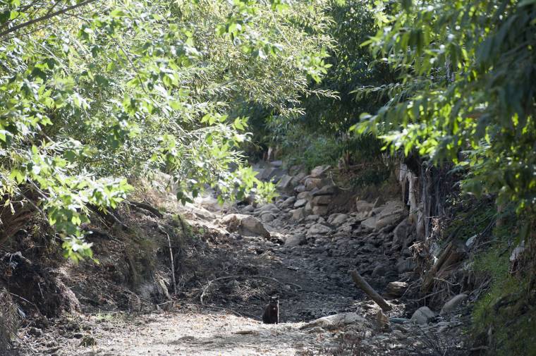 A szélsőséges időjárás következményei – olyan számokat közöltek, amire már nem lehet csak úgy legyinteni