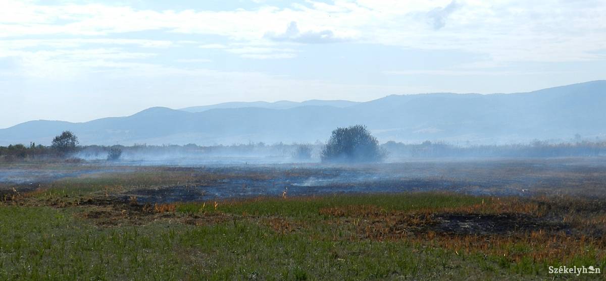 &bullet;  Fotó: Pinti Attila