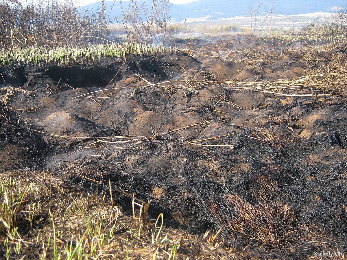 &bullet;  Fotó: Pinti Attila