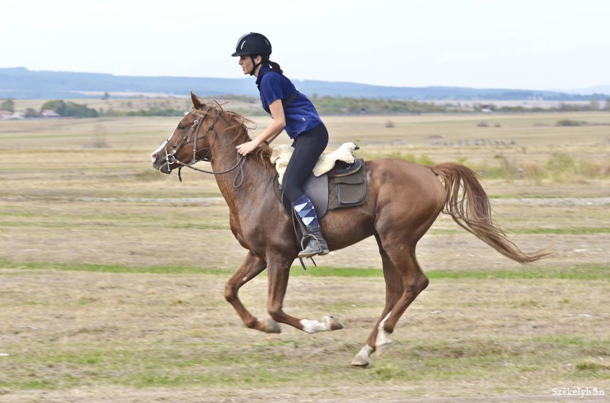 •  Fotó: Veres Nándor