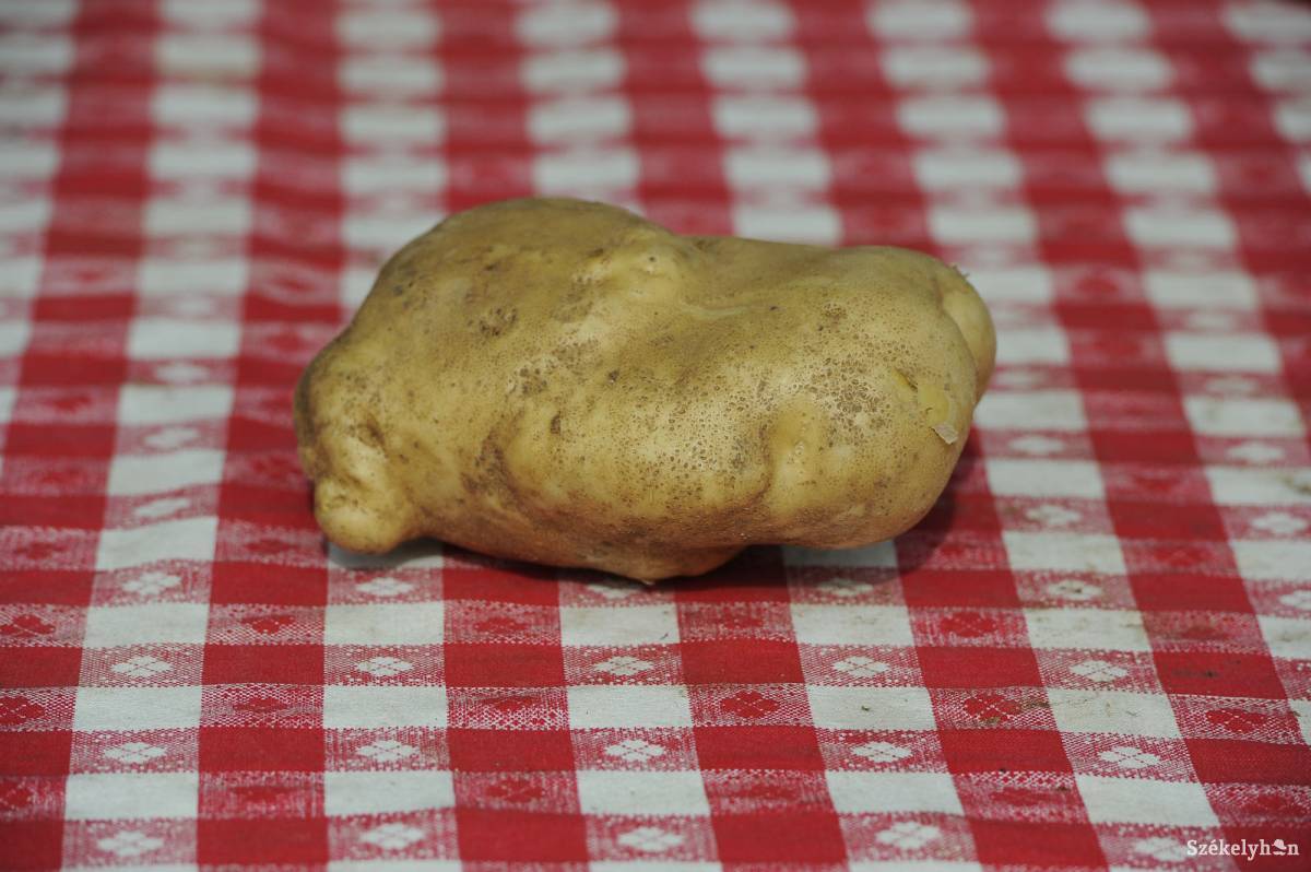 &bullet;  Fotó: Kristó Róbert