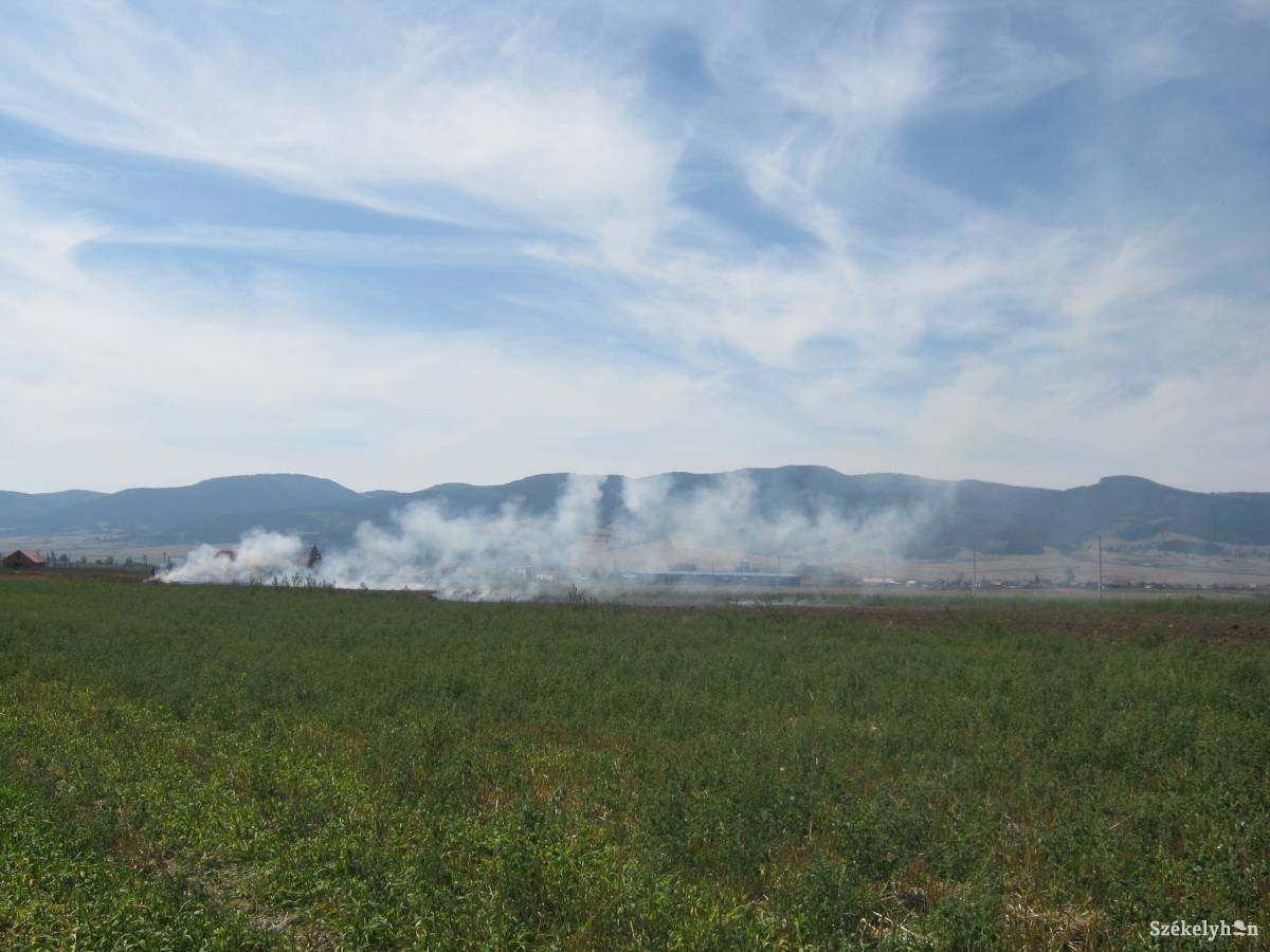 &bullet;  Fotó: Pinti Attila