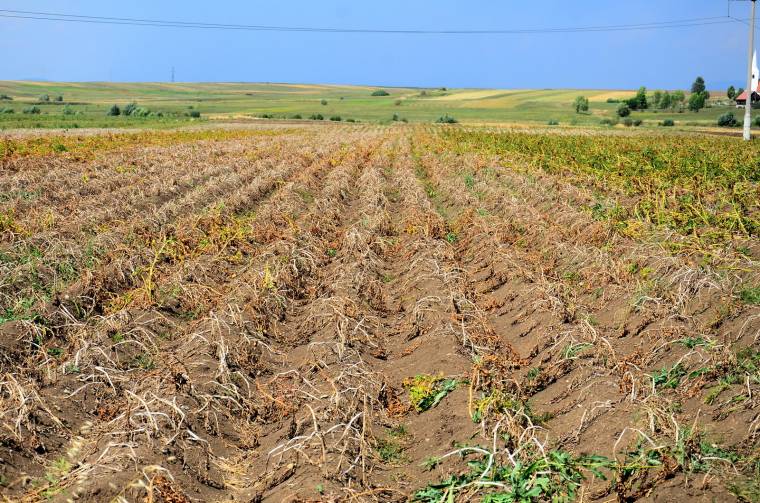 Várják az aszálykárok bejelentését