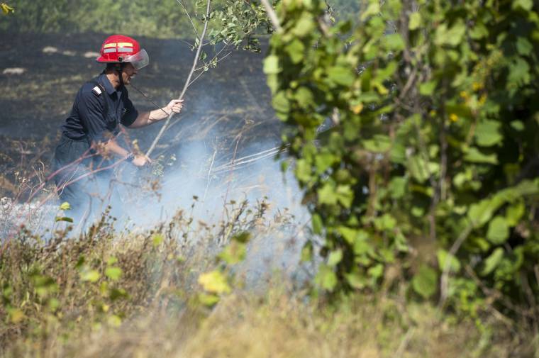 Egy hektár búza, sokezer kilogramm takarmány égett el