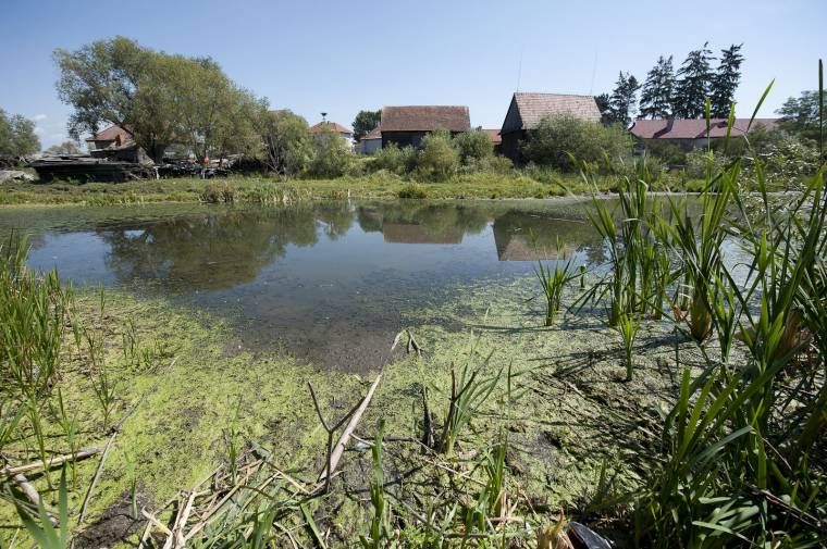 Parttisztítás Csíkszentsimonban