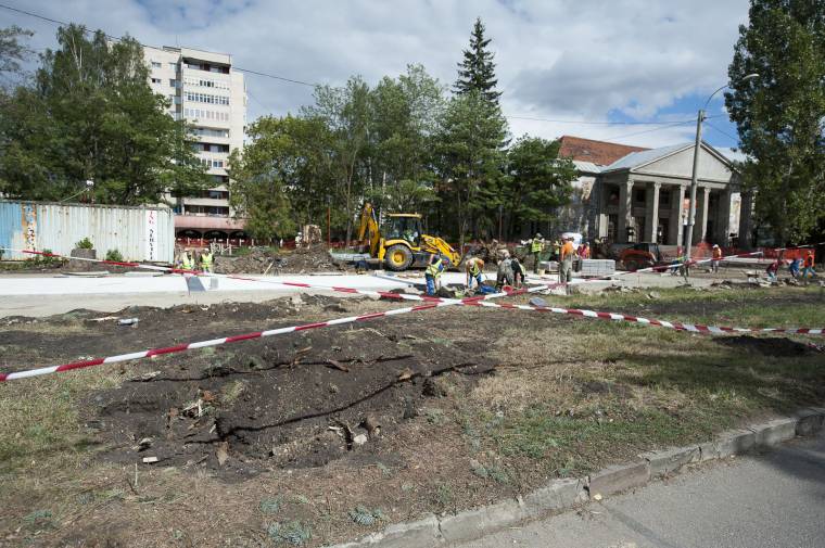 Fenyőket vágtak ki a parkolóért