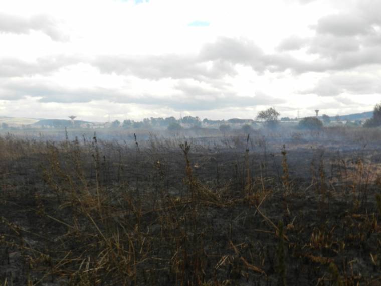 Tőzegfüsttől bűzlik Csíkszereda