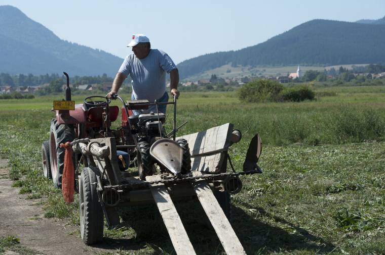 Kusza birtoklevél-helyzet Tusnádon