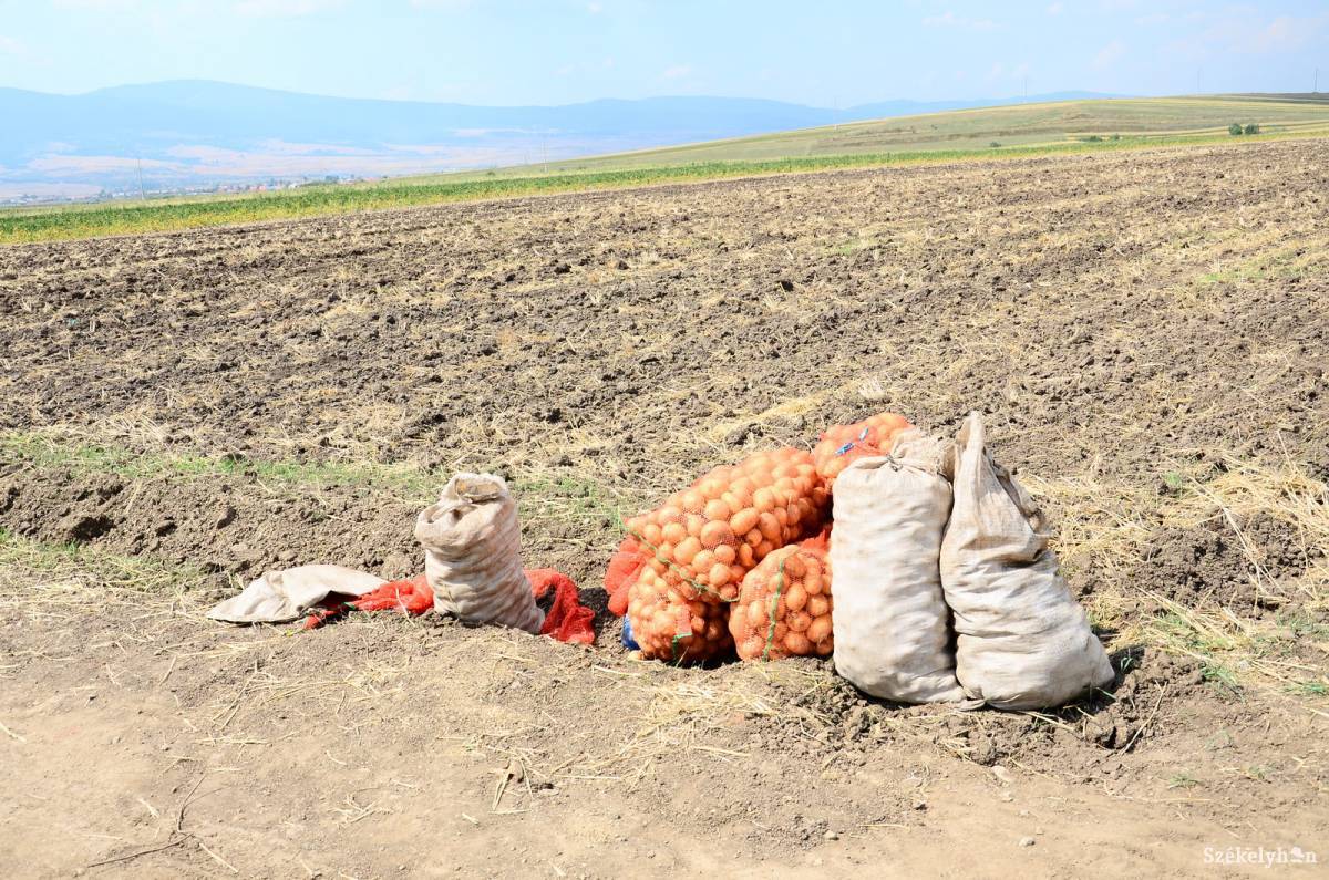 &bullet;  Fotó: Czont Léda