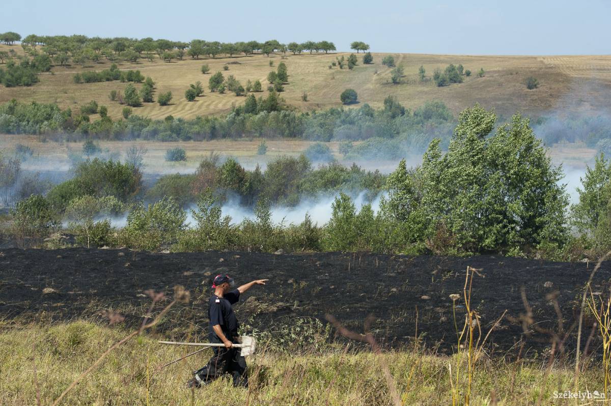 &bullet;  Fotó: Kristó Róbert