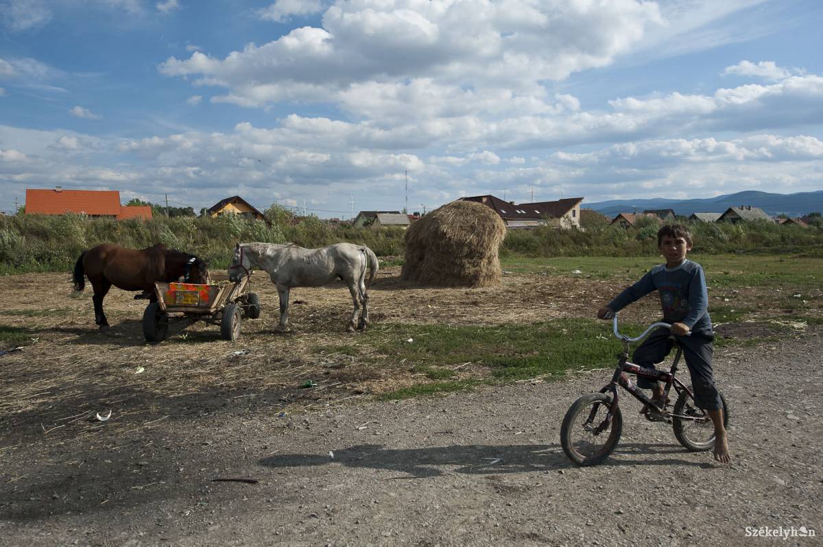 • Fotó: Kristó Róbert
