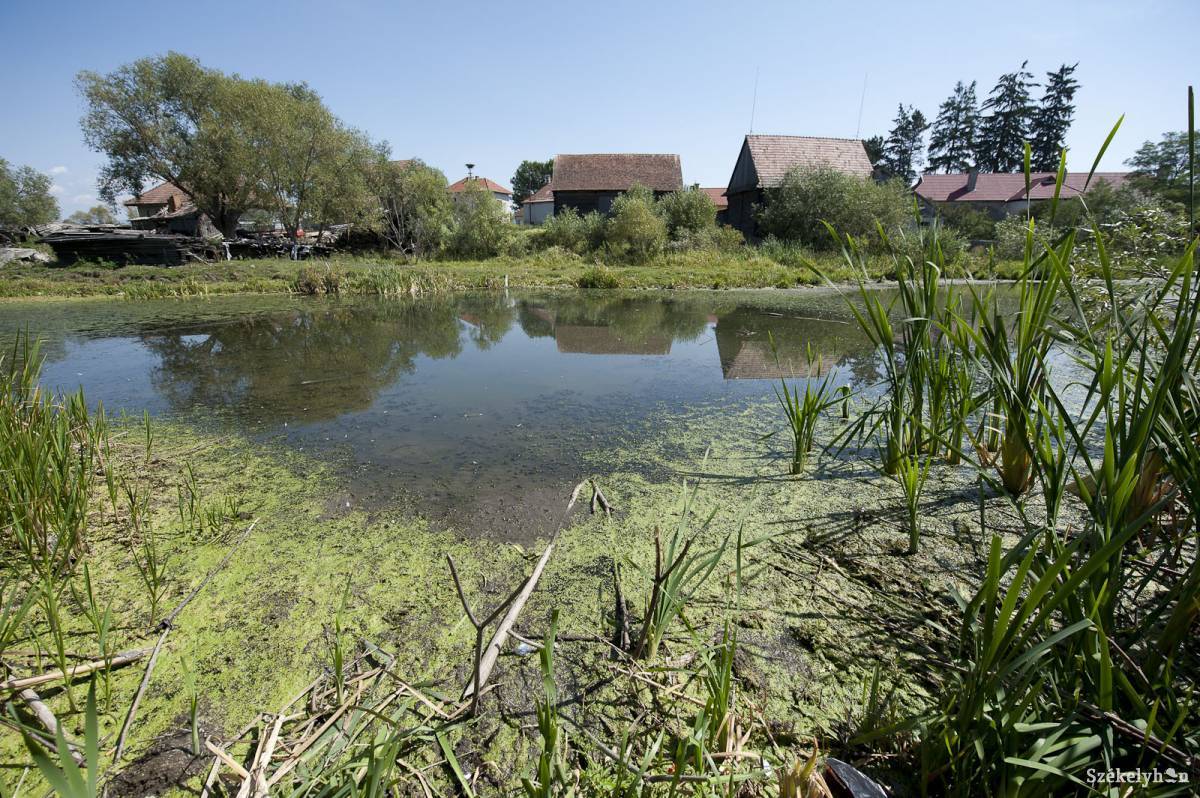 &bullet;  Fotó: Kristó Róbert