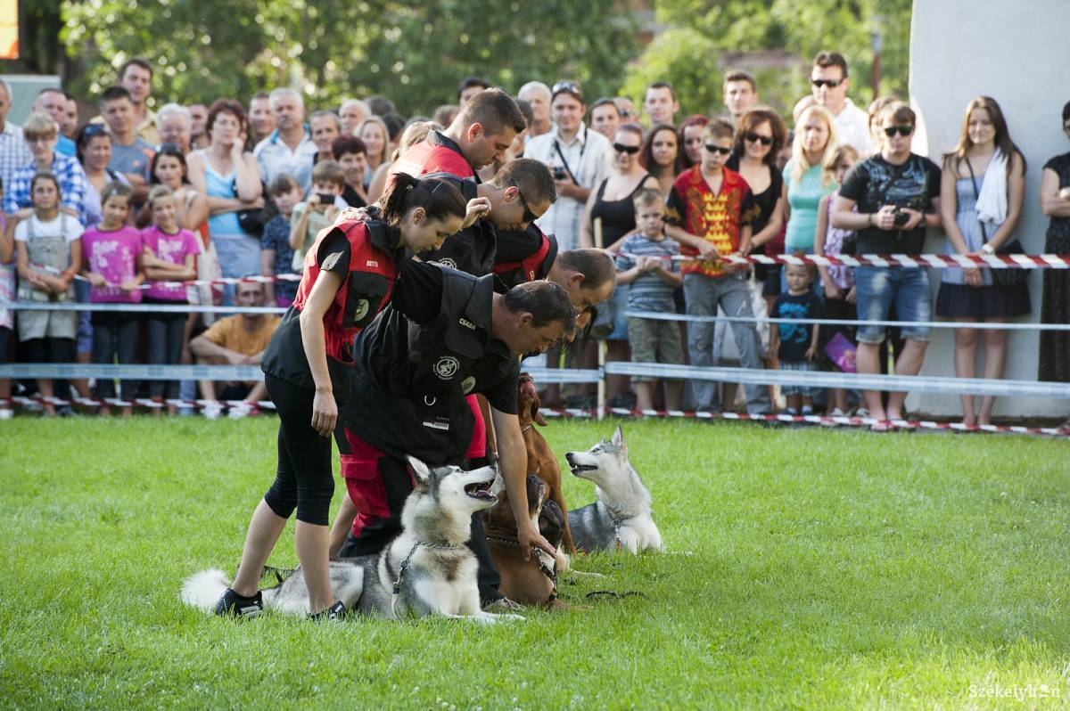 &bullet;  Fotó: Kristó Róbert