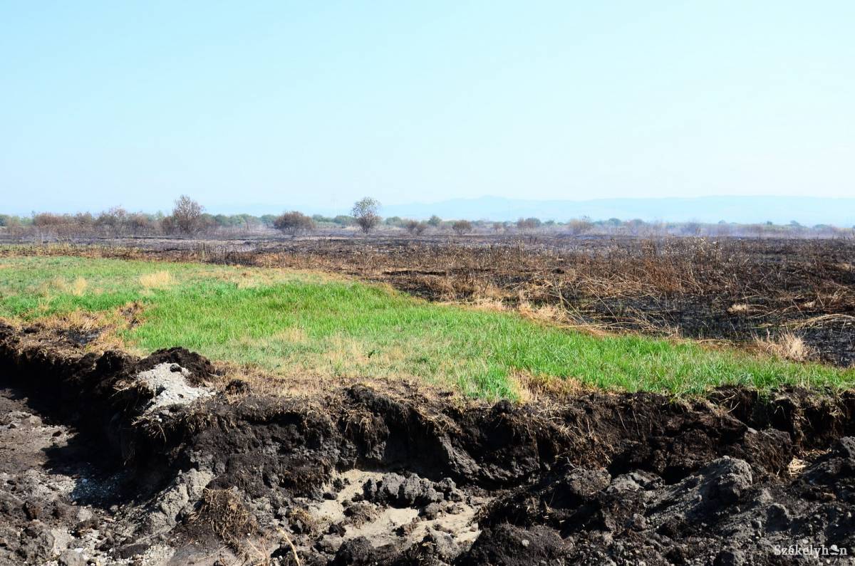 &bullet;  Fotó: Czont Léda