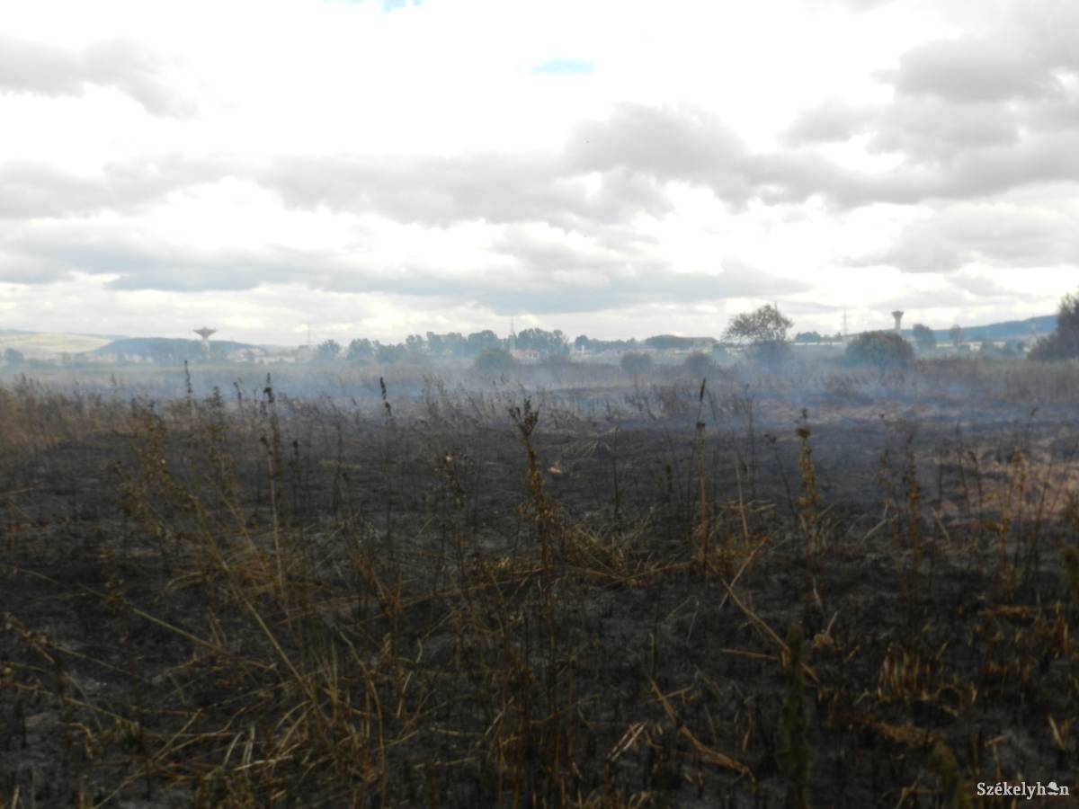 &bullet;  Fotó: Pinti Attila