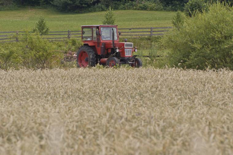 Jelentős károkat okozott a termésben az időjárás