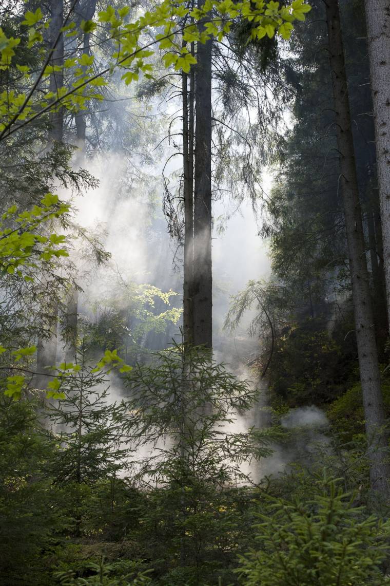 Ismét erdők gyulladtak ki Csíkban