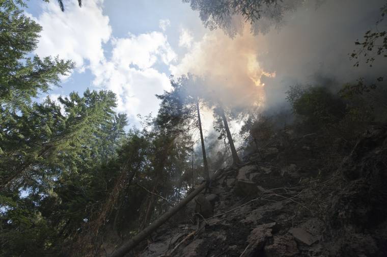 Megfékezték a csatószegi erdőtüzet