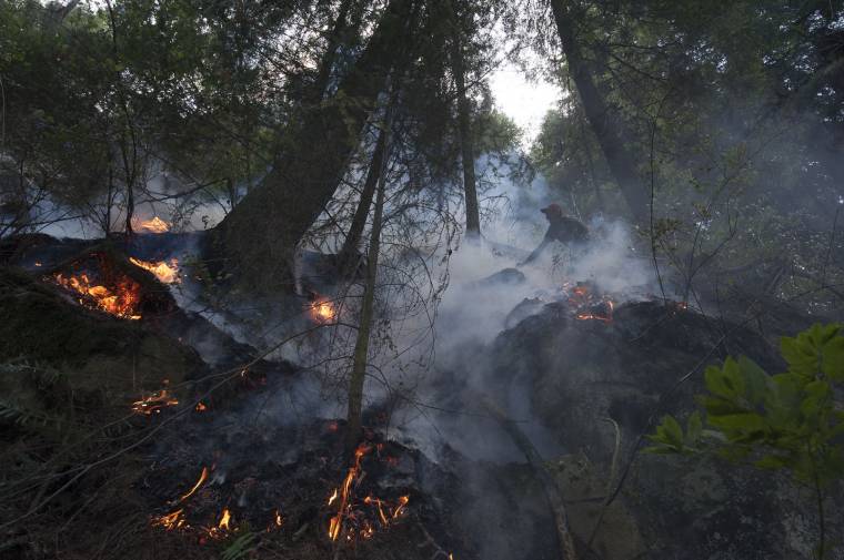 Szombat óta oltják az erdőtüzet