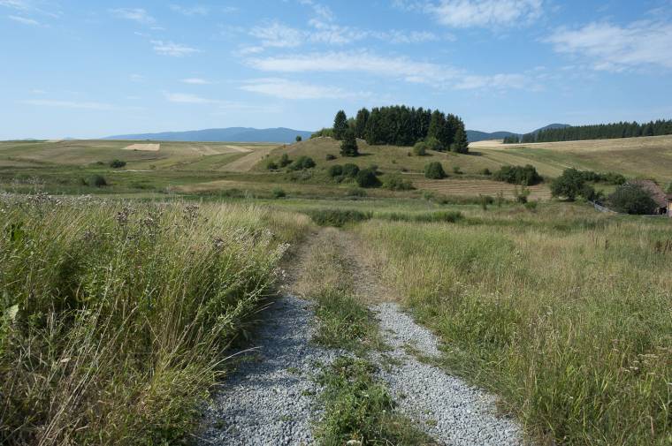 Megfeneklett a csíkszentléleki gátépítés