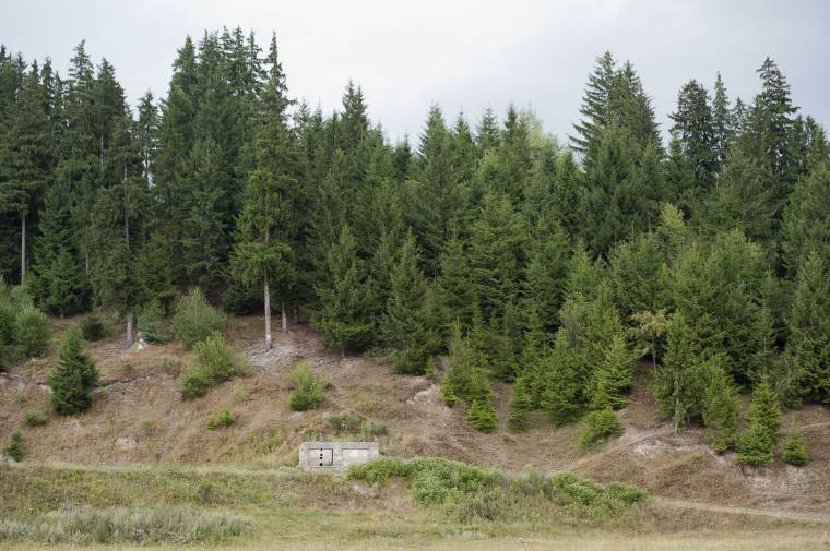 Földterületet vásárolnak a síugrósánc számára