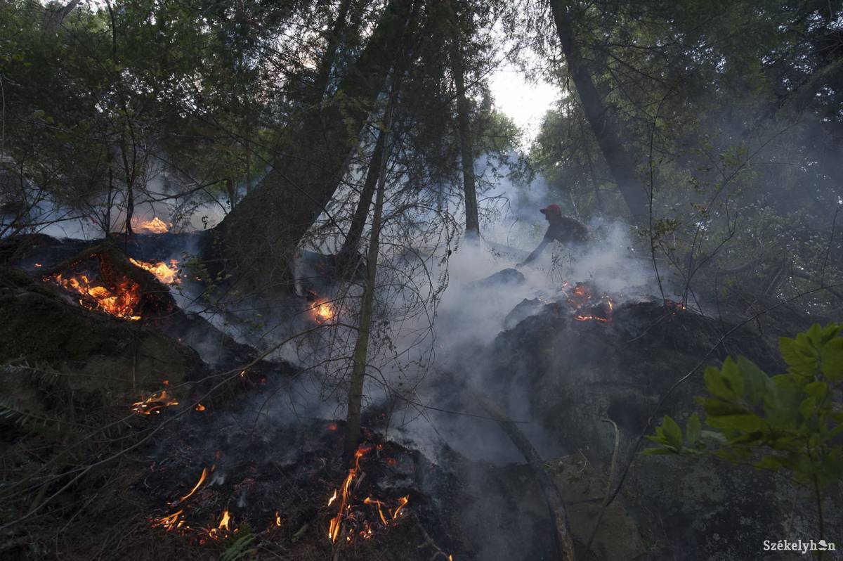 &bullet;  Fotó: Kristó Róbert
